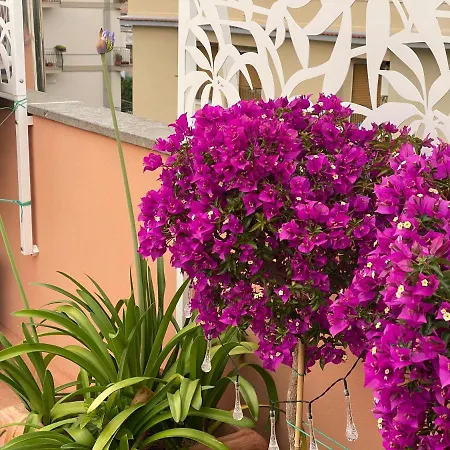The Rooftop Terrace Two Double With Private Bathrooms And An Equipped Roof Terrace 4* Sant'Agnello