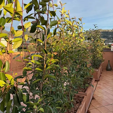 The Rooftop Terrace Two Double With Private Bathrooms And An Equipped Roof Terrace 4*